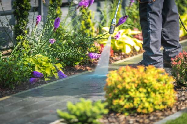 Trusted Rome, NY Pressure Washing Services Experts